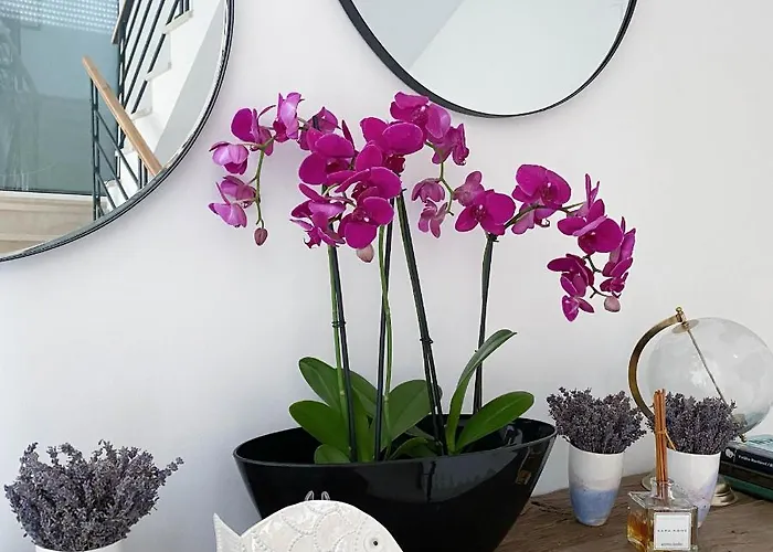 Appartement Marisa Hvar Ii Hvar Town